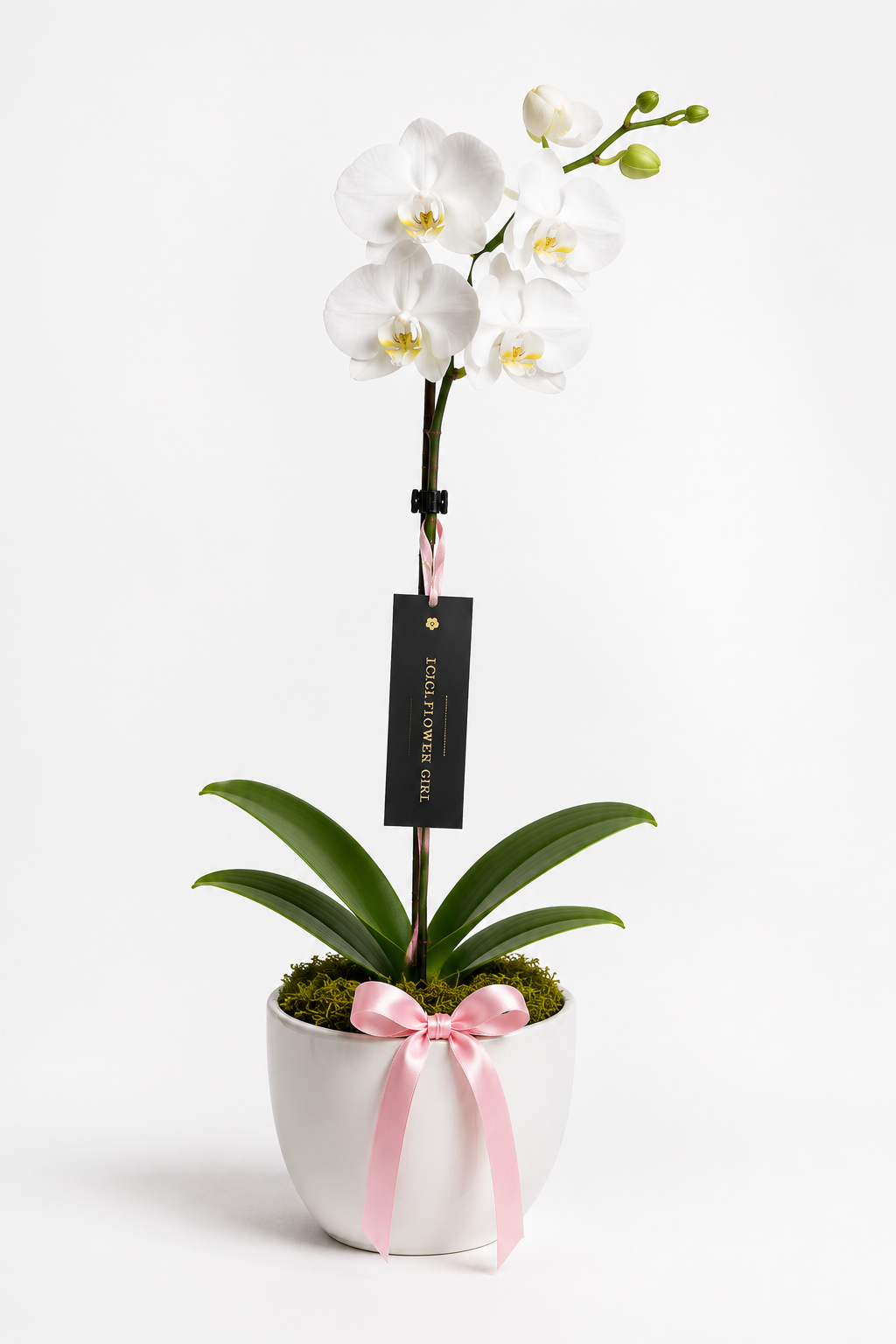 Designer's Choice Bouquet