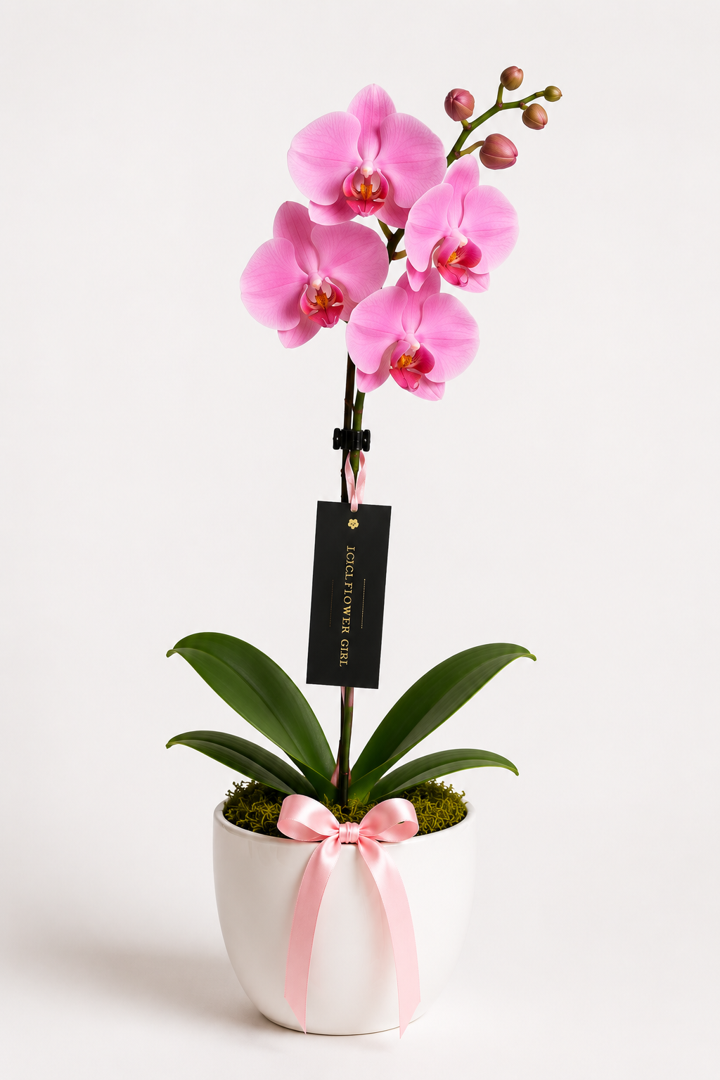 Designer's Choice Bouquet
