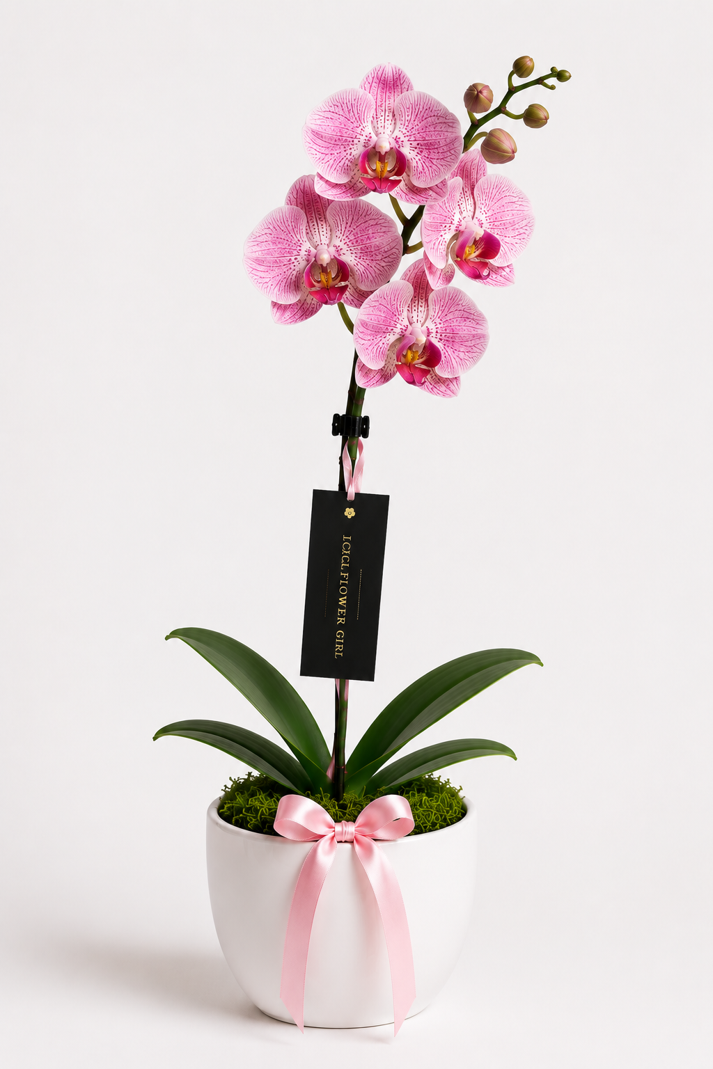 Designer's Choice Bouquet